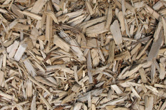 biomass boilers Gwyddgrug